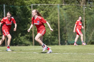 Bild 286 - wBJ Hamburger SV - Hertha BSC : Ergebnis: 5:2